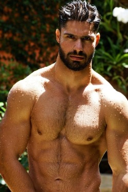 hunkville:  He strips to his trunks, then