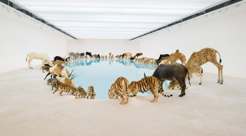 Falling Back on Earth, 2013 Cai Gong-qiang  