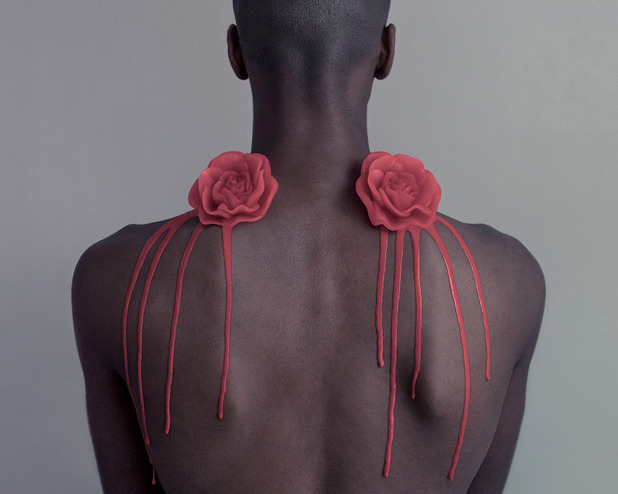 ohthentic:  wetheurban:  Roses, Brooke DiDonato In Brooklyn-based photographer Brooke