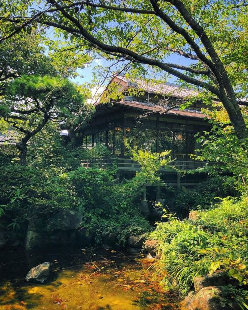 蓬莱観庭園”蓬莱園” [ 大分県中津市 ] Horaikan Garden, Nakatsu, Oita の写真・記事を更新しました。 ーー続日本100名城・中津城からすぐ。春には桜の名所となる、中津