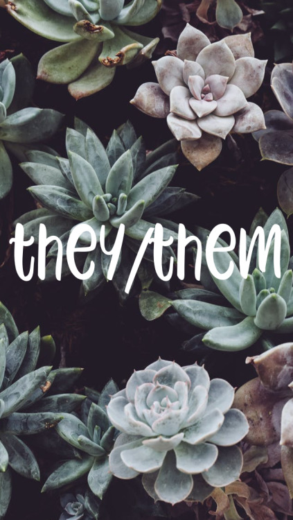 succulent themed they/them lock screenssize: 640 x 1136made to fit the iphone se