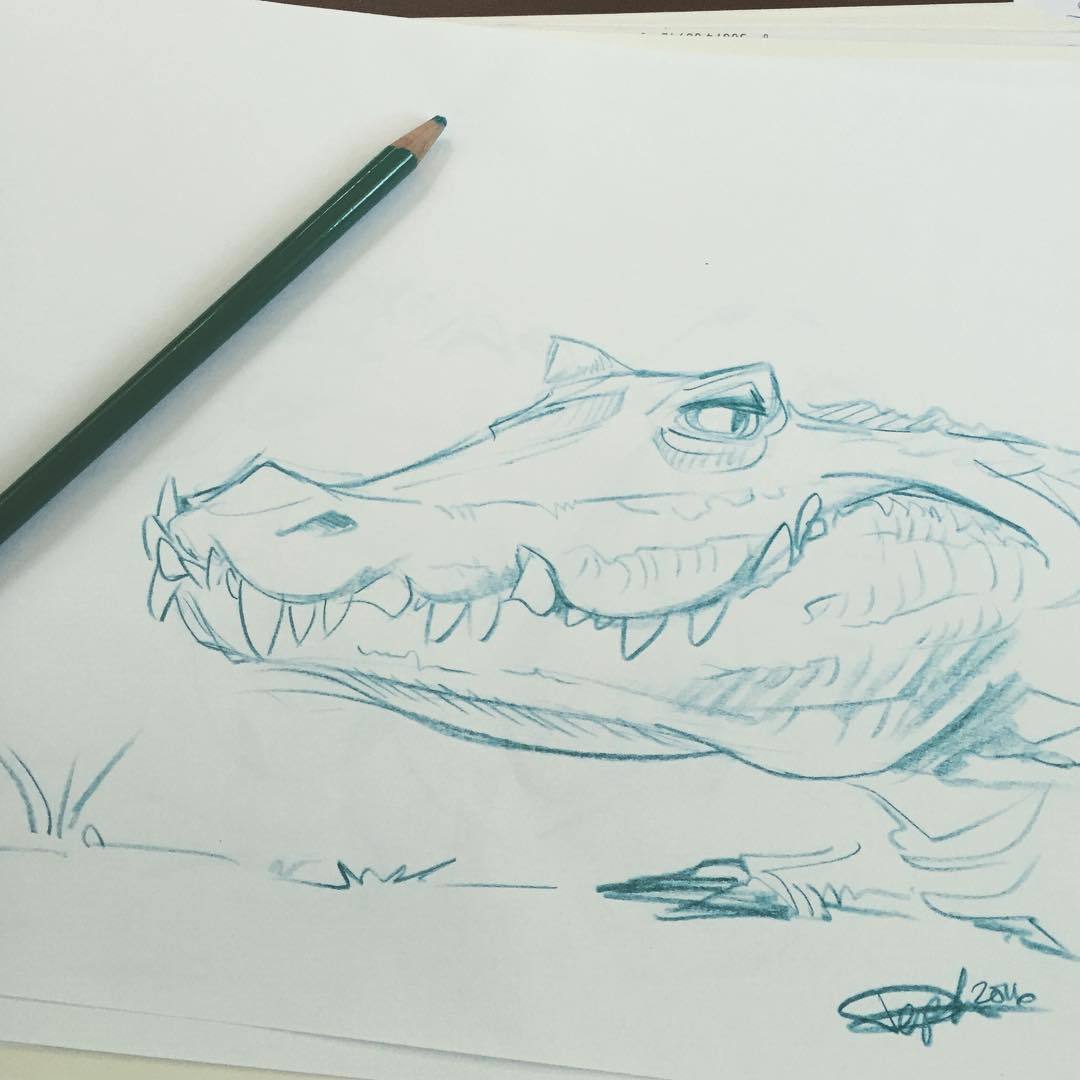 Art of Steph Dere — Alligator quick #sketch #pencil #drawing