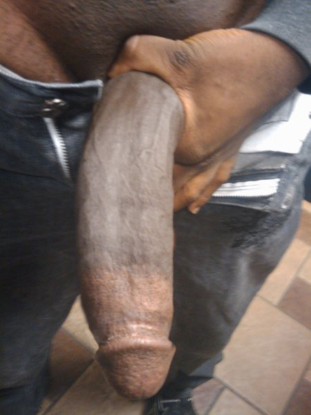 blackgaysociety:  #blackcock #blackdick #bigblackdick     