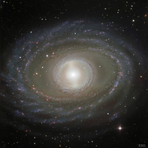 Sex Ribbons and Pearls of Spiral Galaxy NGC 1398 pictures
