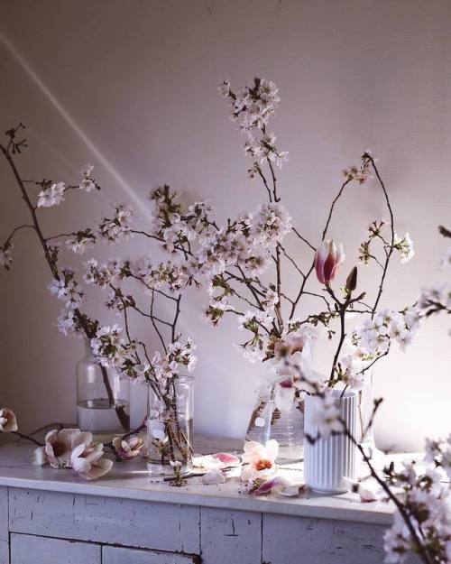 floralls:byYukiko Masuda