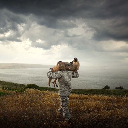 To all Veterans and to all the working dogs out there, THANK YOU. #veteransday #military #marine #wo