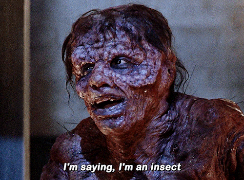 Have You Ever Heard Of Insect Politics? Neither Have I. Insects Don’t Have Politics. They’re Very