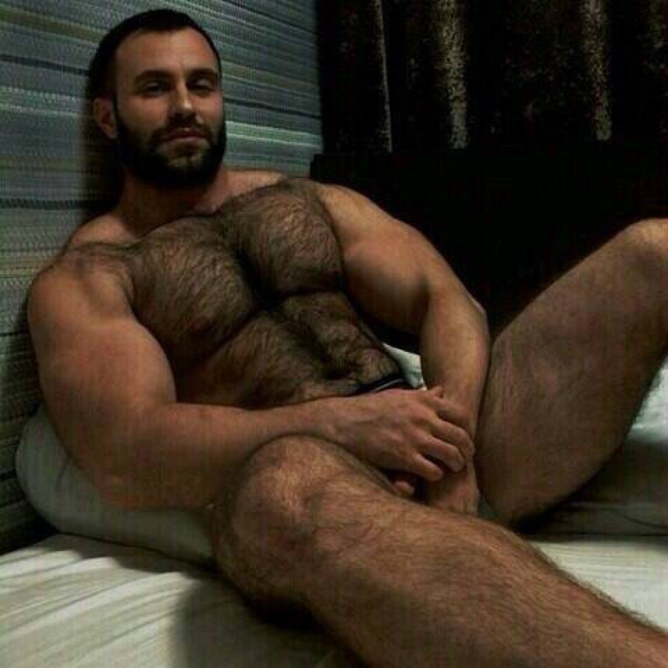 Furry Muscle Bears, Brute And Daddies