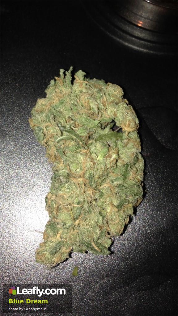 theheroicchemist:  Blue Dream is a sativa dominant hybrid originally from California.