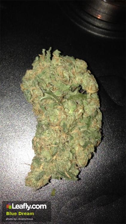 Sex theheroicchemist:  Blue Dream is a sativa pictures