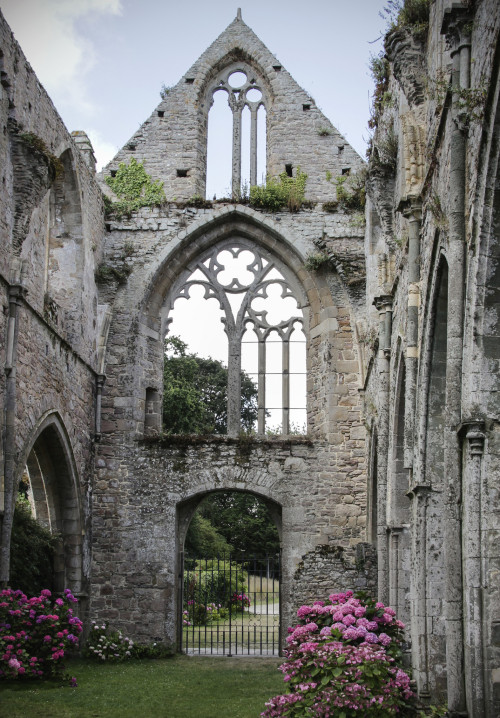 orphic-mysteries:Abbaye de Beauport, Brittany by KotomiCreations