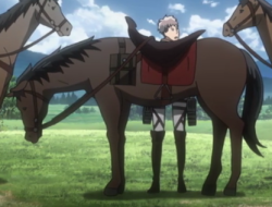 advancing-towards-freedom:  deersatan:  missviridianne:  Can someone please tell me what is going on with Jean’s body here    what if he didn’t have legs it would be  jeanhorse