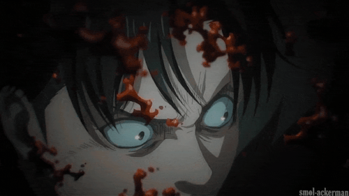 Levi's Eyes' Appreciation Post: