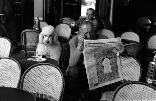 cafe de floret, saint germain des pres, paris, 1953 - by edouard boubat