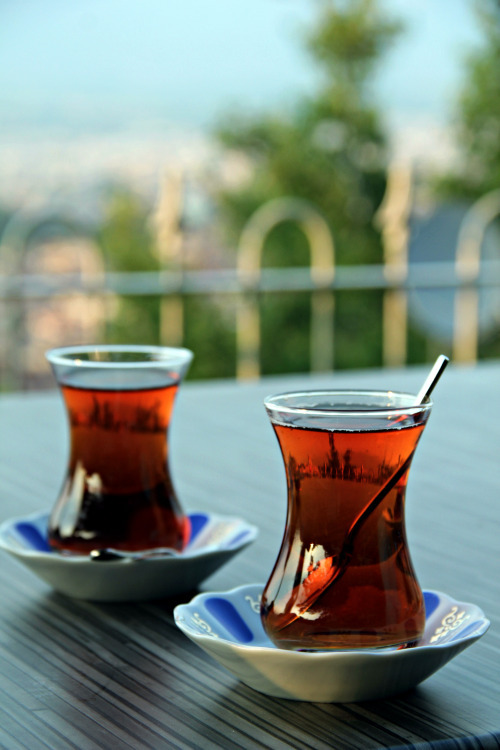 giancarlo303:  Tea for two ???  G