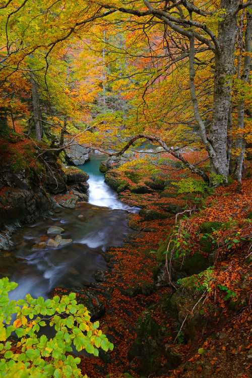 silvaris:Pyrenees Colors IV by Juan Pavon