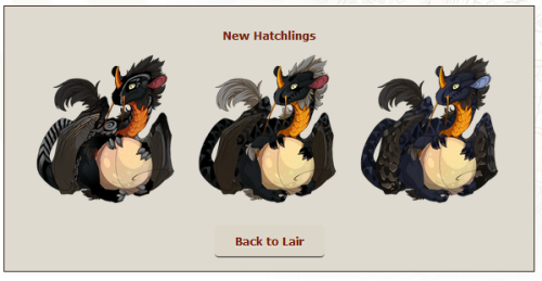I FORGOT TO SHOW THESE BABIES OFF AHHPure gen 2 Fiery Autumn babies looking for homes!Born of Karai,