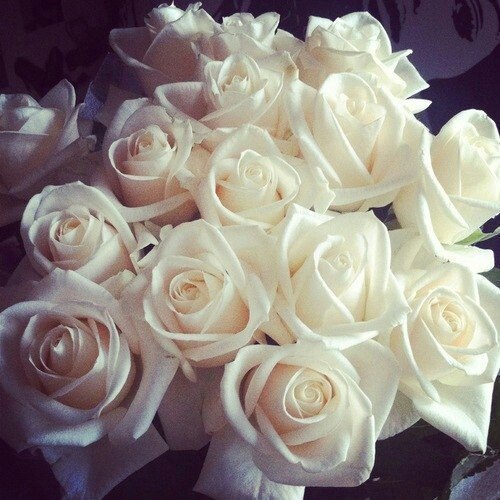 silly-luv:  ♡ find your best posts on my blog ♡