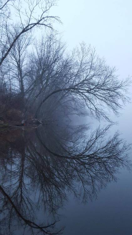 amazinglybeautifulphotography:  A foggy kayak ride in Chelmsford MA [OC] [115X2048] - Author: mrblahblahblah on reddit