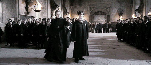 ginnyeweasley:If you want to kill Harry, you’ll have to kill us too!