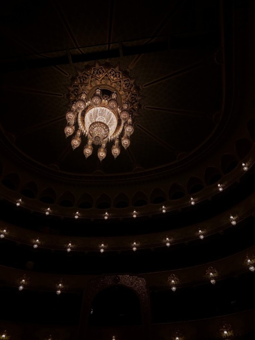 Opera Experience