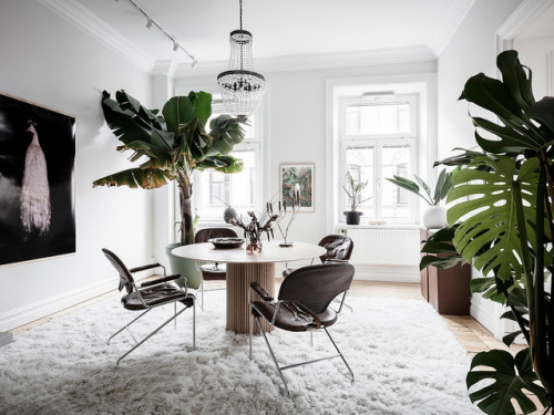 Green And Grey | Goteborg, Schweden(Source: entrancemakleri.se, Photos: Anders Bergstedt)Layout: 