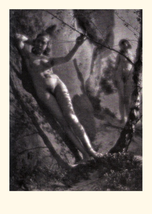 Franz Fiedler, Nude study c. 1910 [ see also ] from Erotische Fotografie 1890-1920 