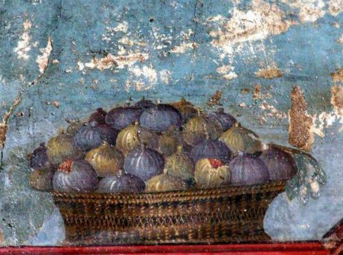 napolinostalgia:Basket of Figs , wall painting from the Villa of Poppea in Oplontis (Pompei region),