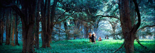 city-of-gay-angels:Middle-earth + Forests