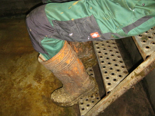 plasmahaufen:hmmm, great dirty rubber boots! wonderful!