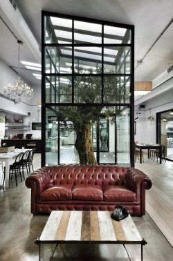 Cjwho:  Ravintola Kook Roomassa - Restaurant Kook In Rome, Italy By Noses Architects