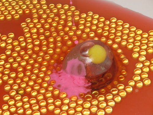 y6s:  yard666sale eggs 2013 