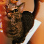 mimi-eats-carbs