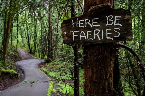 celtic-forest-faerie:{Here Be Faeries} by {Chuck Palmer}