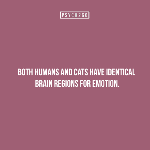 psych2go:  For more posts like these, you could visit psych2go