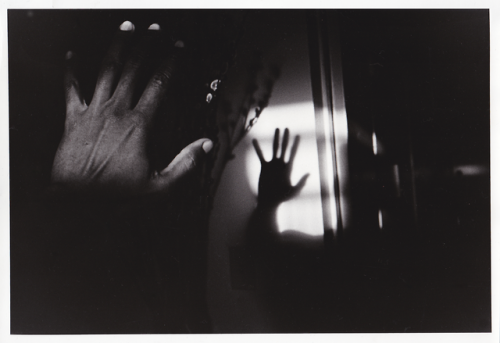 Hand and Shadow, 20186 x 10″ Fiber Print