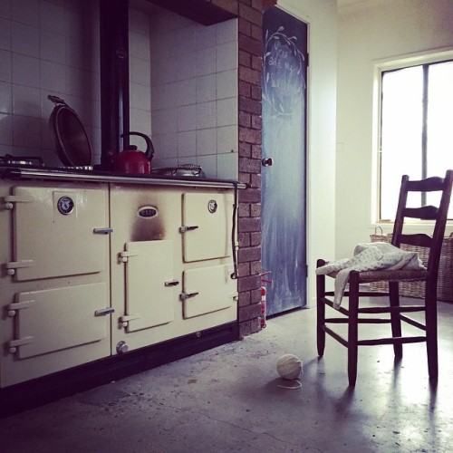 instagram:  Growing Food with Love and Integrity with @foxslane For more of Kate’s photos at D
