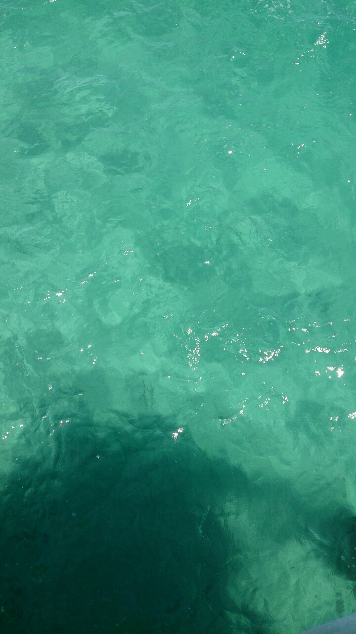 trulytired:Body comparison my hair vs the ocean today