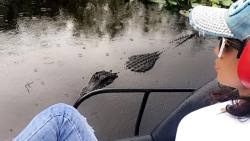 #airboat #airboatingtour #airboating on the