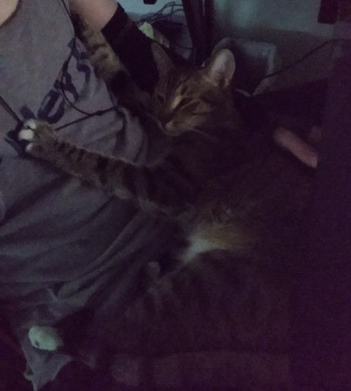 Why Are You Laying Like That?