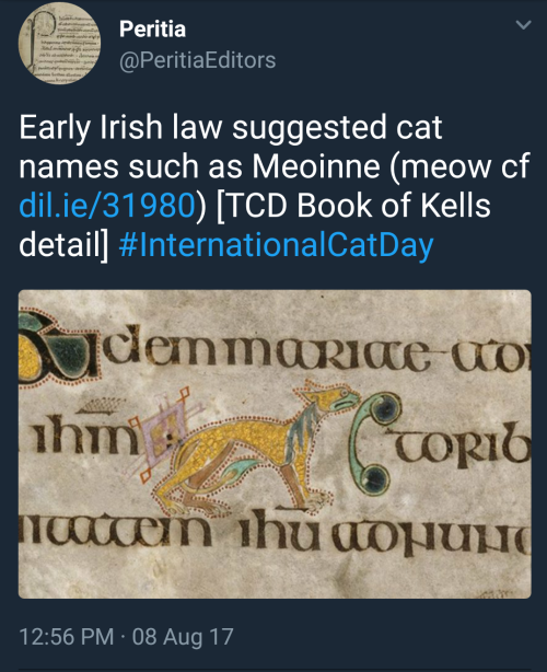 deadcatwithaflamethrower:
“meabhair:
“ truagh-mo-thuras:
“ oakthread:
“ rannulfr:
“ anais-ninja-blog:
“ unfetteredwood:
“ aeondeug:
“ altorialter:
“oh dude. this is peak content
”
Early Irish law is very important.
”
You gotta love that the Brehons...