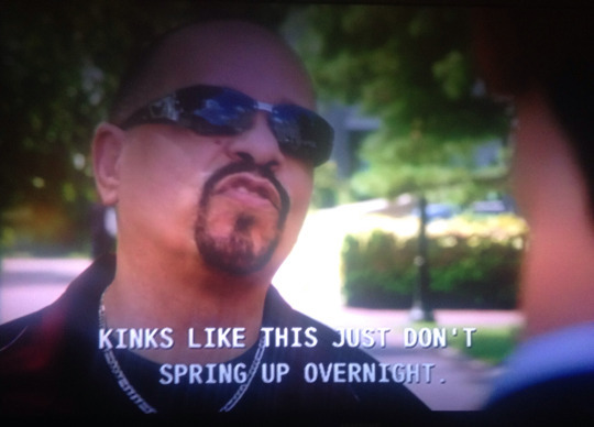 funwithglobule:  wifightclub: wifightclub:  my new favorite Ice T quote is “kinks like this don’t just spring up overnight”     relevant