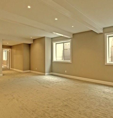 Underground - Contemporary BasementBasement - Large Contemporary Underground Carpeted Basement Idea With