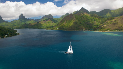 ponderation:French Polynesia by Tim Mckenna Photography 