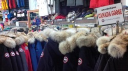 radicallyvegan:  kathyfartcher:  teenagerposts:  Friendly reminder for anyone planning on buying a  goose jacket this season, this is what you’re supporting 😷  Ok signal boost cause I was deadass gunna get one of these and I had no idea  Canada Goose