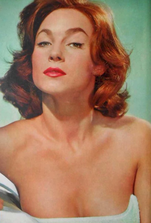 Shirley Anne Field