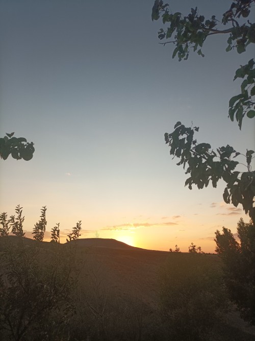 Bir Eserinde; Gnl Gnl Bulsayd Bozkrlar Gl