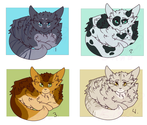 Working On Bluebellkit's Design The Ones I Dont Use Im Prob Gonna Make Into Other Characters