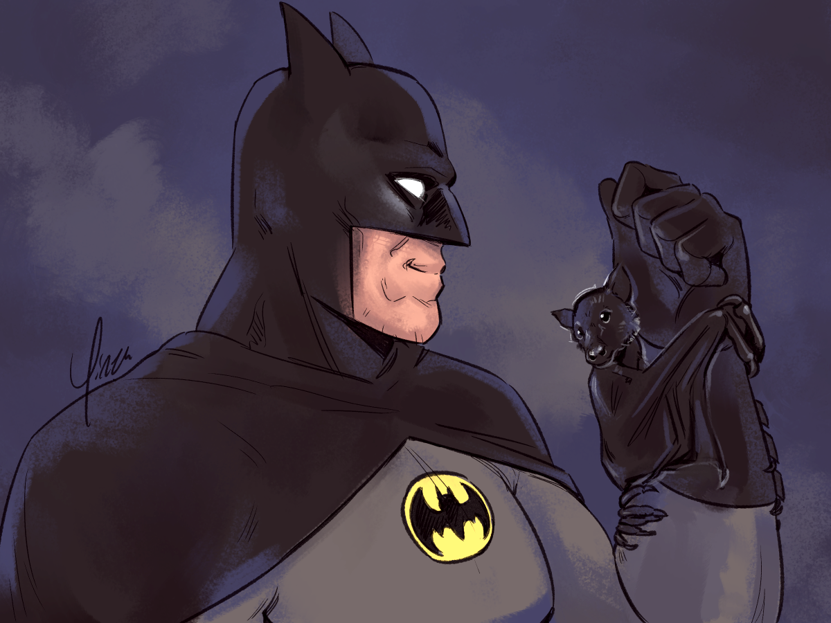 Yinza on Tumblr Batman with a pet bat