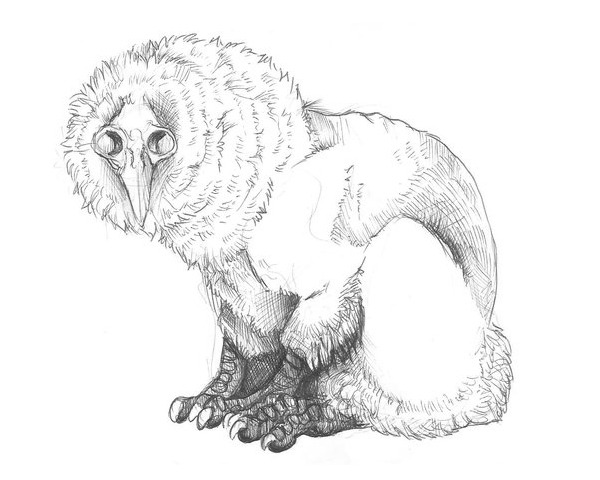 siryl:  Sketches by Dragon-Shark a.k.a. Edible-Nightmares. 